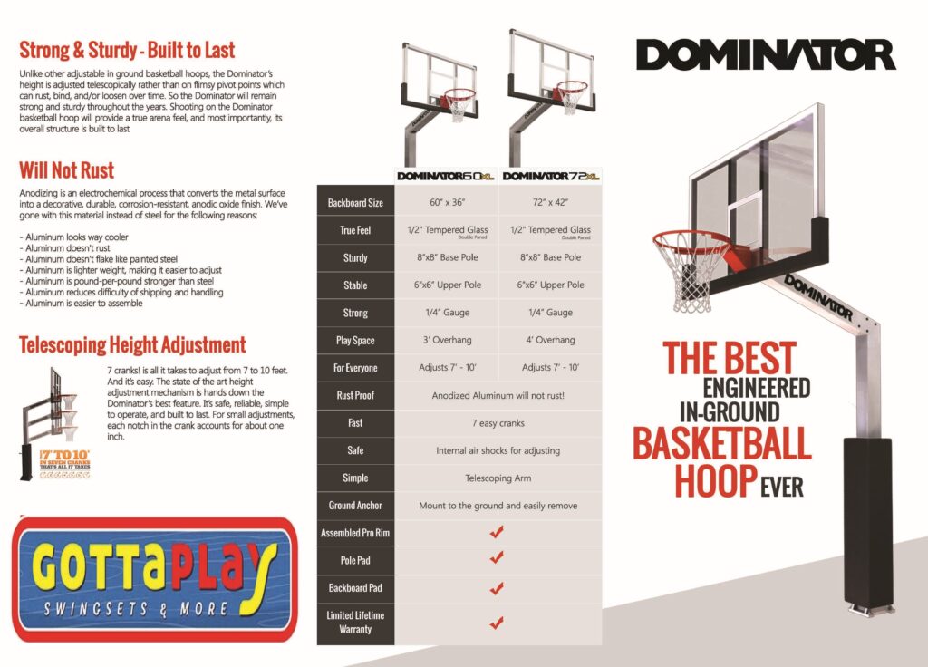 Dominator 60 Inch Basketball Hoop